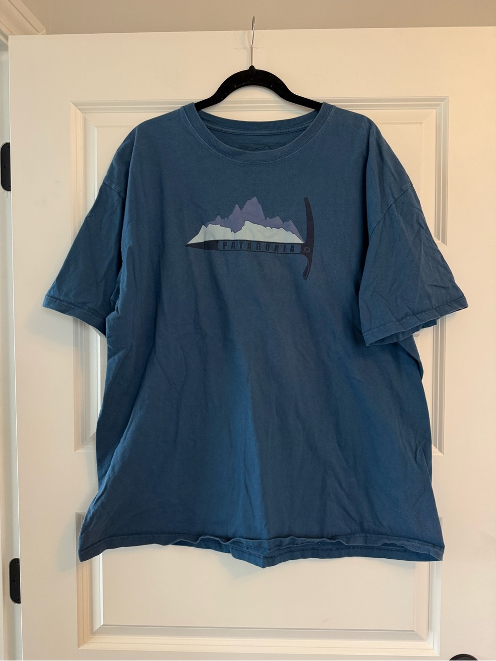 Patagonia Tee